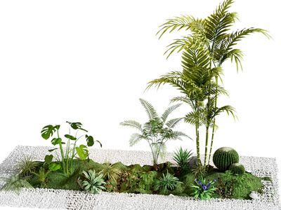 植物堆 植物造景 室内造景