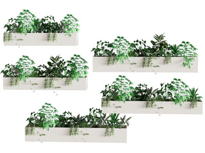 现在绿植盆栽