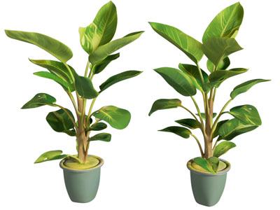 现代绿植盆栽