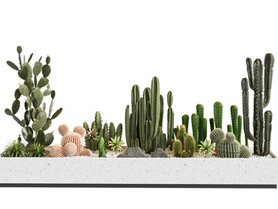 植物堆 现代植物堆