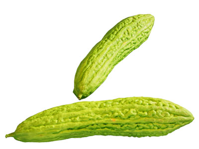 现代苦瓜 蔬菜