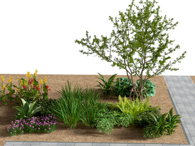 灌木小品 绿篱 植物堆 花镜植物