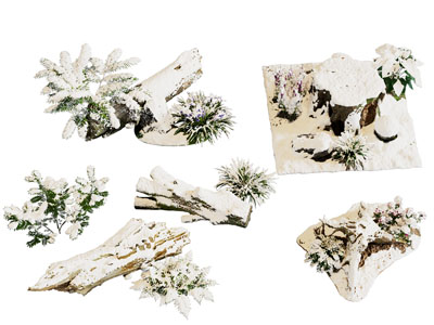 雪景枯树景观户外雪树