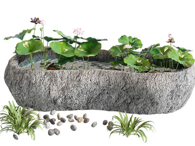 现代新中式鱼池 锦鲤池 原生水槽养鱼 荷花池 鱼池