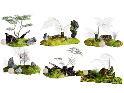 现代局部景观 庭院景观小品 植物景观 园林景观 蕨类植物 造景