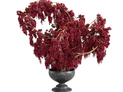 中古侘寂花艺