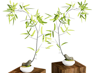新中式花艺