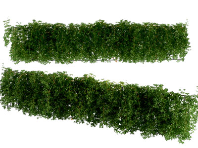 植物堆