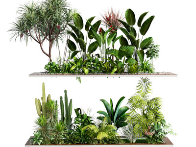 植物堆