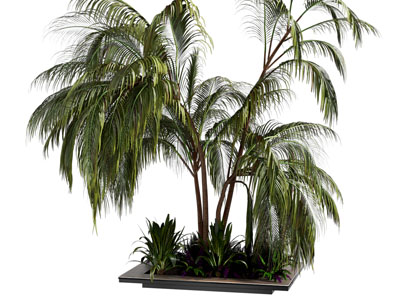 现代户外植物堆