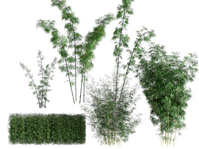 植物堆