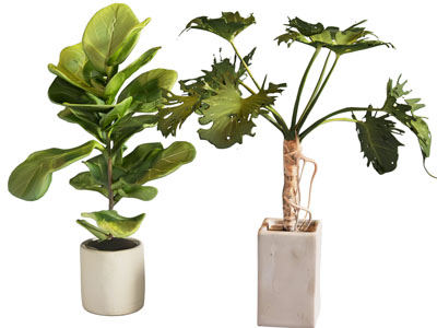 盆栽 现代绿植盆栽