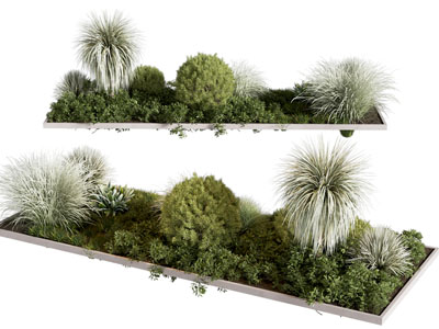 绿植 现代户外绿植灌木 花池植物堆