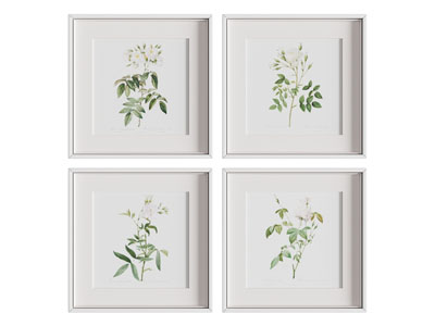 植物画 装饰画 艺术画