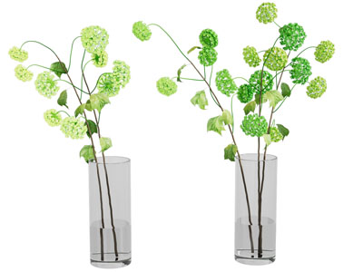 现代水生绿植花瓶
