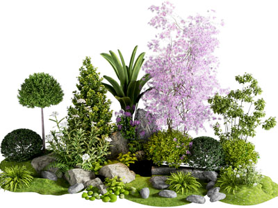 现代植物组合 花境组团 植物造景 植物堆 灌木球 女贞 景观石头 庭院小品