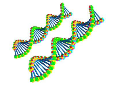 现代DNA 双螺旋结构模型 基因链