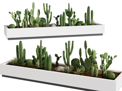 植物造景 植物堆