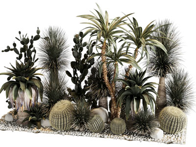 仙人掌绿植植物堆景观小品