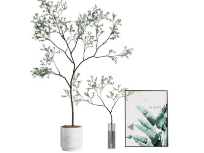 现代绿植盆栽