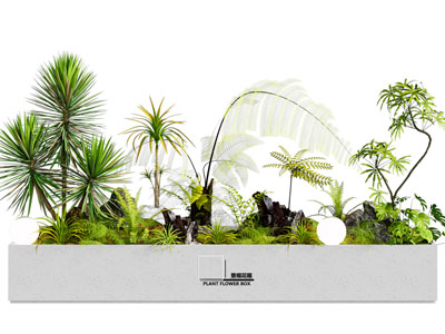 花箱 植物组合花箱 室内景观 景观造景 植物堆 蕨类盆栽