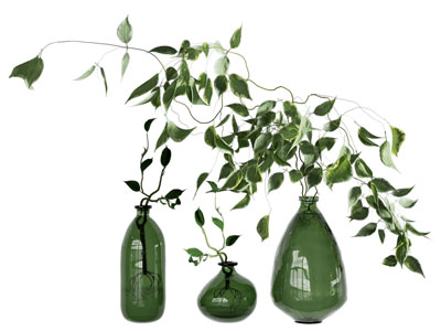 现代水培绿植花瓶