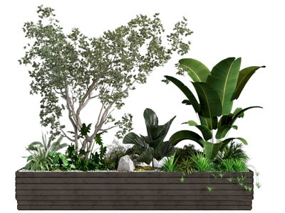 绿植堆 景观绿植 树池椅