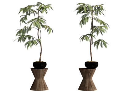 盆栽 现代绿植盆栽