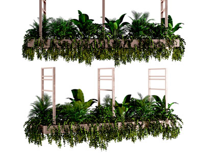 现代悬挂植物吊灯
