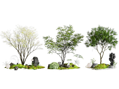 现代庭院小品 植物堆 蕨类植物