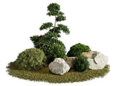 庭院绿植小品