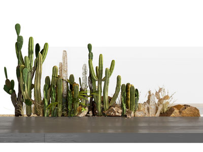 现代盆栽堆 绿植组合 景观 花坛 花池仙人掌