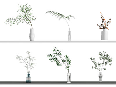 水生植物 水培绿植