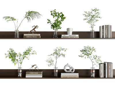 水生植物