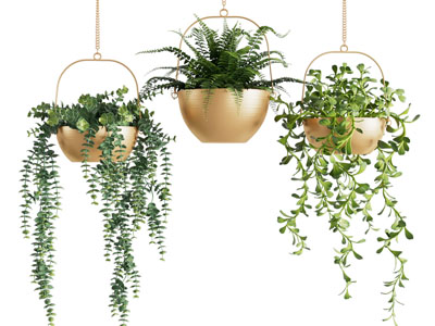 现代金属悬挂植物盆栽