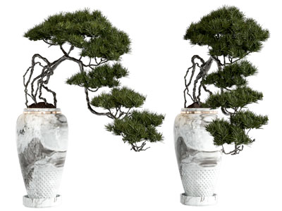 新中式盆栽