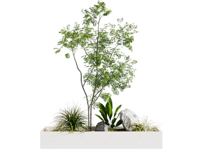 现代室内绿植造景装饰