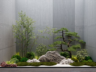 现代植物景观造景
