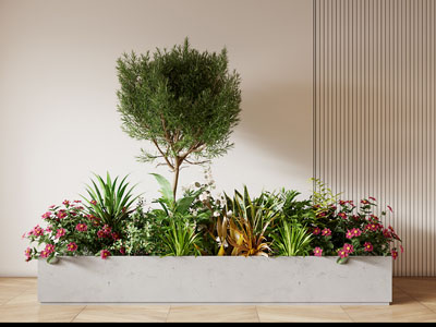 花草景观组合