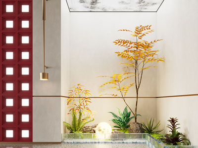 现代室内造景 植物堆