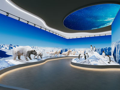 动物展厅 冰雪世界