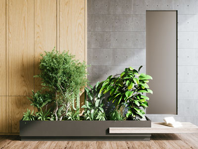 植物堆