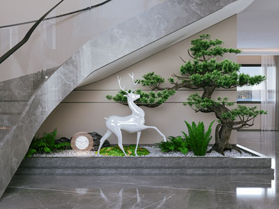 室内造景 植物堆