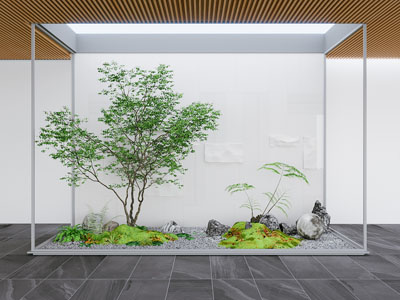 室内景观