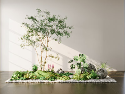 绿植 盆栽 植物造景 室内造景 植物堆