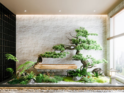 室内造景 松树植物堆