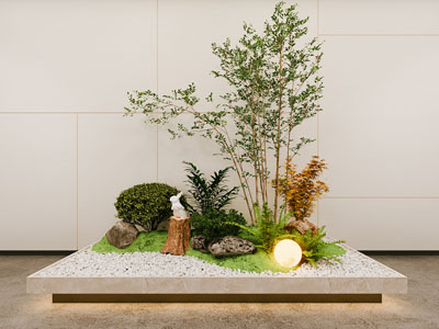 室内造景 植物堆