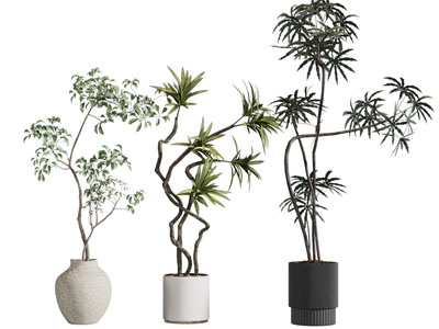 现代落地绿植盆栽组合