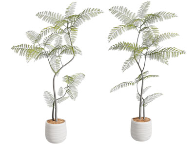 现代绿植盆栽