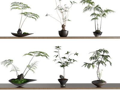 新中式盆景盆栽植物摆件组合
